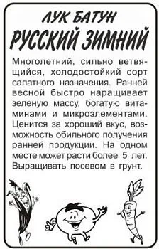 Лук батун Русский Зимний (белый пакет) 0,5г; Семена Алтая