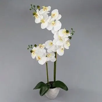 Орхидея x3 в кашпо, 76см бел/роз