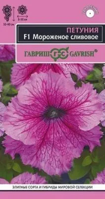Петуния крупноцветковая Мороженое сливовое F1 (цветной пакет) 5шт; Гавриш фото в интернет-магазине Флоранж