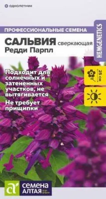 Сальвия Редди Парпл сверкающая (цветной пакет) 5шт; Семена Алтая фото в интернет-магазине Флоранж