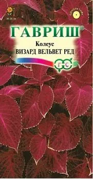 Колеус Визард Вельвет ред (цветной пакет) 4шт; Гавриш