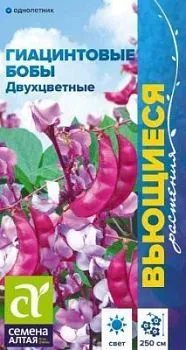 Бобы декоративные Гиацинтовые Двухцветные (цветной пакет) 1гр; Семена Алтая