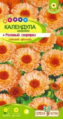 Календула Розовый Сюрприз махровая (цветной пакет) 0,5г; Семена Алтая фото в интернет-магазине Флоранж