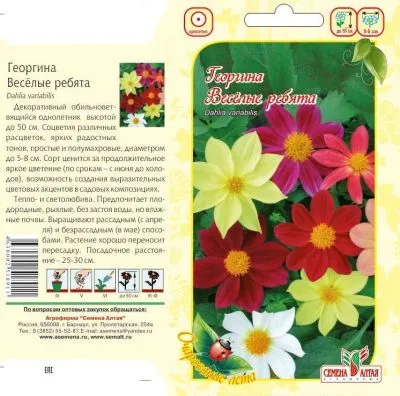 Георгина Веселые Ребята (цветной пакет) 0,2г; Семена Алтая фото в интернет-магазине Флоранж