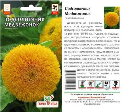 Подсолнечник Медвежонок (цветной пакет) 0,5г; Семена Алтая фото в интернет-магазине Флоранж