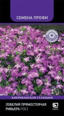 Лобелия прямостоячая Ривьера Роуз (цветной пакет) 10шт; Поиск фото в интернет-магазине Флоранж