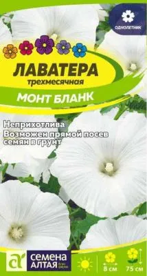 Лаватера Монт Бланк (цветной пакет) 0,2г; Семена Алтая фото в интернет-магазине Флоранж