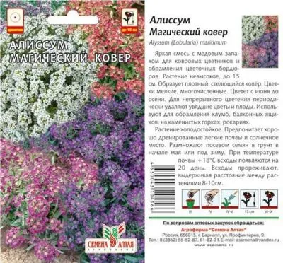 Алиссум Магический Ковер (цветной пакет) 0,1г; Семена Алтая фото в интернет-магазине Флоранж