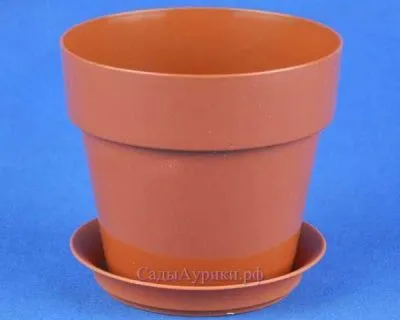 Горшок пластиковый Протея, терракотовый, 11,5х10см, 0,6/0,7л; Россия фото в интернет-магазине Флоранж