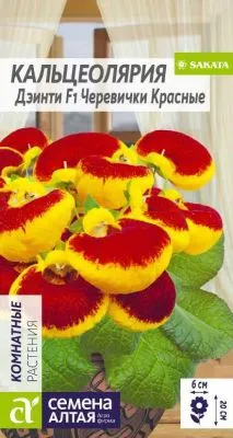 Кальцеолярия Дэинти Черевички красные (цветной пакет) 5шт; Семена Алтая фото в интернет-магазине Флоранж