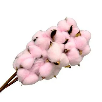 Набор хлопка на вставке 30-40см, 10шт в уп, розовый