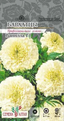 Бархатцы Ванилла (цветной пакет) 5шт; Семена Алтая фото в интернет-магазине Флоранж