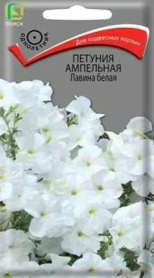 Петуния ампельная Лавина белая (цветной пакет) 10шт; Поиск фото в интернет-магазине Флоранж