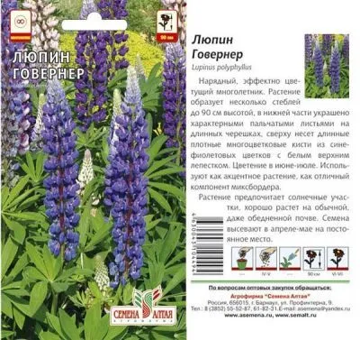 Люпин многолетний Говернер (цветной пакет) 0,3г; Семена Алтая фото в интернет-магазине Флоранж