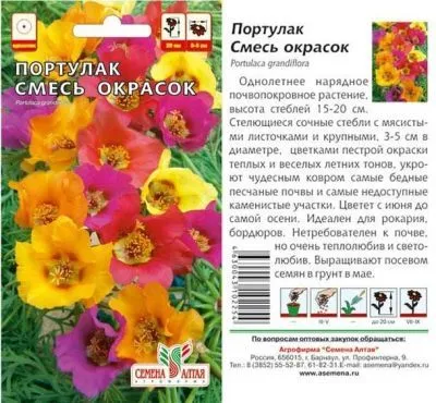 Портулак Смесь Окрасок (цветной пакет) 0,1г; Семена Алтая фото в интернет-магазине Флоранж