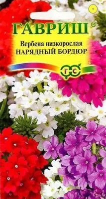 Вербена Нарядный Бордюр (цветной пакет) 0,08г; Гавриш фото в интернет-магазине Флоранж