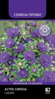 Астра Сирена Синяя (Семена Профи)  (цветной пакет) 0,05г; Поиск фото в интернет-магазине Флоранж