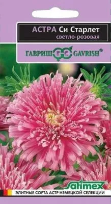 Астра Си Старлет светло-розовая (цветной пакет) 0,05г; Гавриш фото в интернет-магазине Флоранж