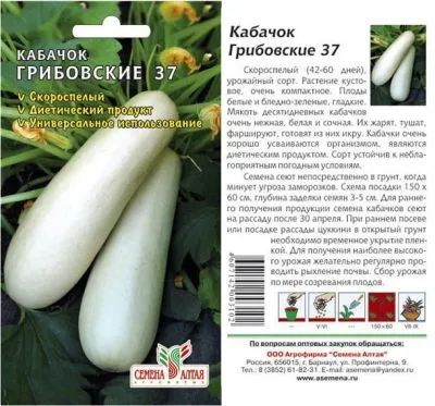 Кабачок Грибовский 37 (цветной пакет) 2г; Семена Алтая фото в интернет-магазине Флоранж