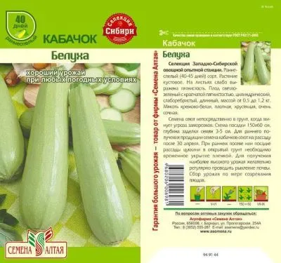 Кабачок Белуха (цветной пакет) 2г; Семена Алтая фото в интернет-магазине Флоранж