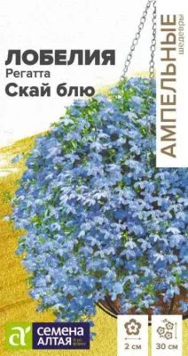 Лобелия ампельная Скай блю ампельная (цветной пакет) 8шт; Семена Алтая фото в интернет-магазине Флоранж