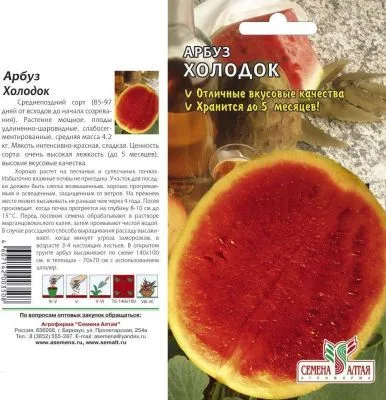 Арбуз Холодок (цветной пакет) 1г; Семена Алтая фото в интернет-магазине Флоранж