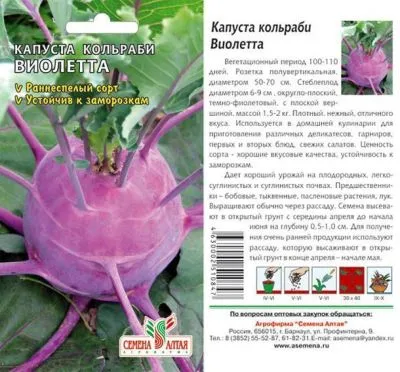 Капуста кольраби Виолетта (цветной пакет) 0,3г; Семена Алтая фото в интернет-магазине Флоранж