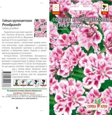 Годеция Рембрандт (цветной пакет) 0,2г; Семена Алтая фото в интернет-магазине Флоранж