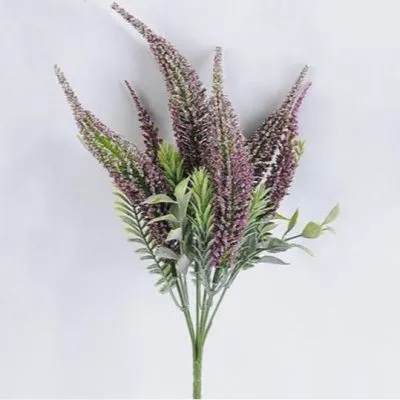 Щетинник, 23,5х40 см фото в интернет-магазине Флоранж