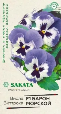 Виола виттрока Барон Морской F1 (цветной пакет) 5шт; Гавриш фото в интернет-магазине Флоранж
