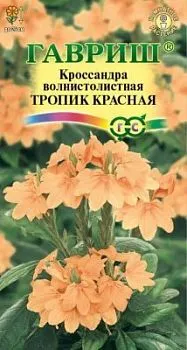 Кроссандра Тропик красная (цветной пакет) 3шт; Гавриш