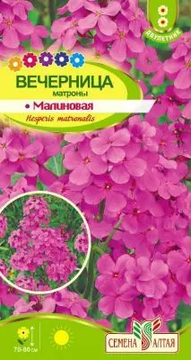 Вечерница Матроны Малиновая (цветной пакет) 0,2г; Семена Алтая фото в интернет-магазине Флоранж