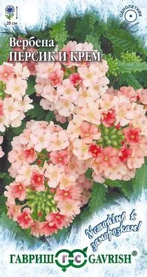 Вербена Персик и Крем (цветной пакет) 0,05г; Гавриш фото в интернет-магазине Флоранж