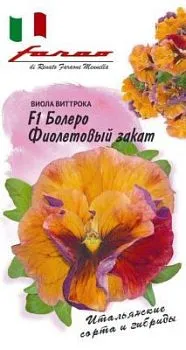 Виола витрокка Болеро Фиолетовый закат F1, (цветной пакет) 10шт; Гавриш