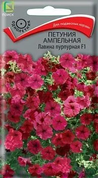 Петуния ампельная Лавина пурпурная F1 (цветной пакет) 10шт; Поиск