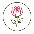 Букеты из роз