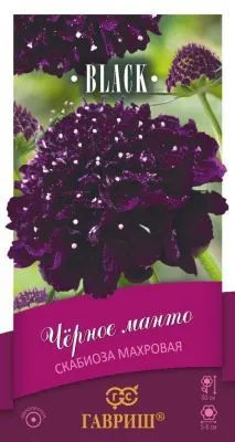 Скабиоза Чёрное пурпурная манто, махр (цветной пакет) 0,2г; Гавриш фото в интернет-магазине Флоранж