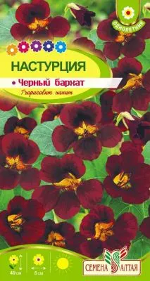 Настурция Черный бархат (цветной пакет) 0,5г; Семена Алтая фото в интернет-магазине Флоранж