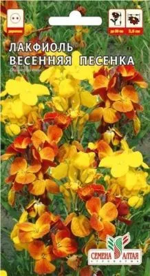 Лакфиоль Весенняя песенка (цветной пакет) 0,05г; Семена Алтая фото в интернет-магазине Флоранж