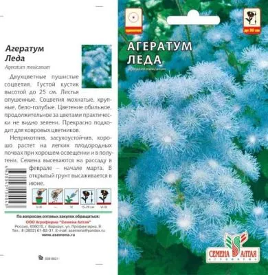 Агератум Леда (цветной пакет) 0,1г; Семена Алтая фото в интернет-магазине Флоранж