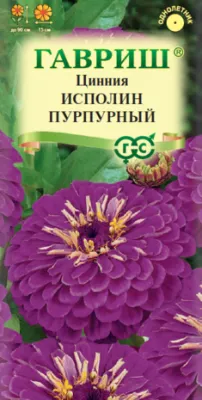 Цинния Исполин пурпурный (цветной пакет) 0,3г; Гавриш фото в интернет-магазине Флоранж