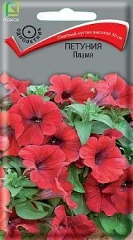 Петуния Пламя (цветной пакет) 0,1г; Поиск