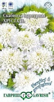 Скабиоза Хрустальная пурпурная махр (цветной пакет) 0,2г; Гавриш