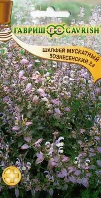 Шалфей Мускатный Вознесенский  (цветной пакет) 0,3г; Гавриш фото в интернет-магазине Флоранж