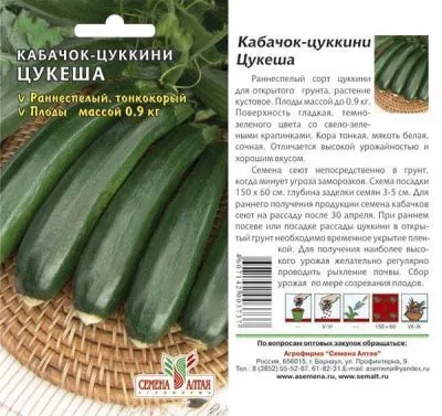 Кабачок цуккини Цукеша-цукини (цветной пакет) 2г; Семена Алтая фото в интернет-магазине Флоранж