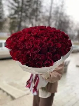 101 бордовая роза в упаковке , состав 101 роза, цвет букета Красный Бордовый, подходит Девушке Маме