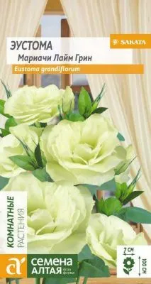 Эустома Мариачи Лайм Грин (цветной пакет) 5шт; Семена Алтая фото в интернет-магазине Флоранж
