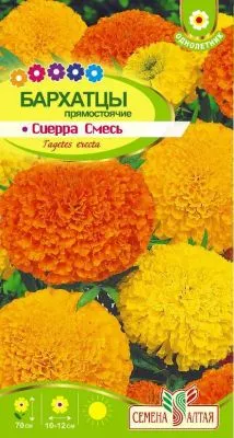 Бархатцы Сиерра Смесь (цветной пакет) 0,3г; Семена Алтая фото в интернет-магазине Флоранж