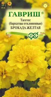 Бархатцы откл. Брокада желтая (цветной пакет) 0,3г; Гавриш фото в интернет-магазине Флоранж