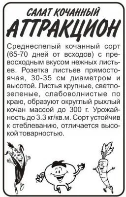  Салат кочанный Аттракцион (белый пакет) 0,5г; Семена Алтая фото в интернет-магазине Флоранж